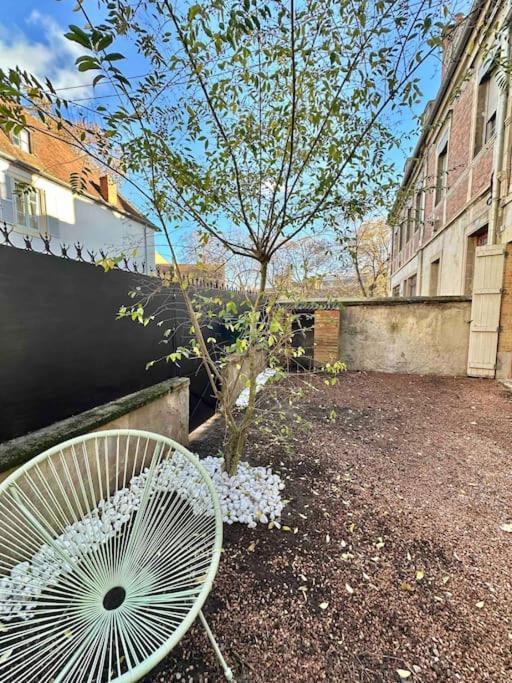 La Maison Des Cours - Wifi - Centre Ville 穆兰 外观 照片